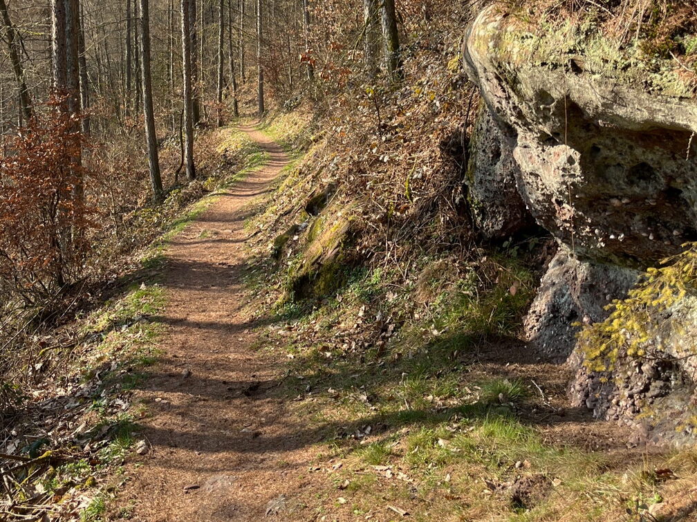 23-03-03 10-37-47 4609